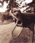 You've Got Mail by Jim Dratfield