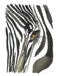 Zebra Eye by Jessica Durrant