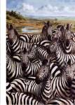 Zebra Gathering by Kilian