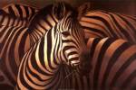 Zebra Grande by T.C. Chiu