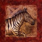 Zebra Safari by Terri Cook