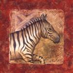 Zebra Safari by Terri Cook