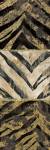 Zebra Squares I by Edward Selkirk