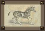 Zebra with Border II
