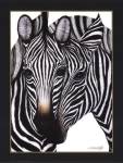 Zebras by Dexter Griffin