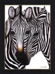 Zebras by Dexter Griffin