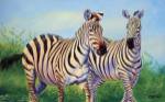 Zebras by Cory Carlson