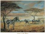 Zebras On The Plains by Elvira Duran