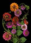 Zinnia & Morning Glory Vines by Susan Barmon
