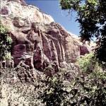 Zion National Park Mountain by Harold Silverman