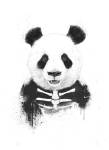 Zombie Panda by Balazs Solti